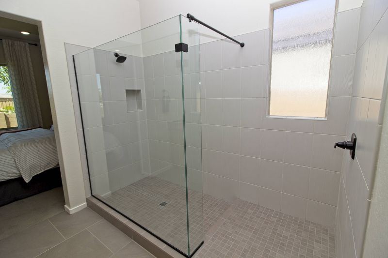 Modern Shower with Frameless Glass